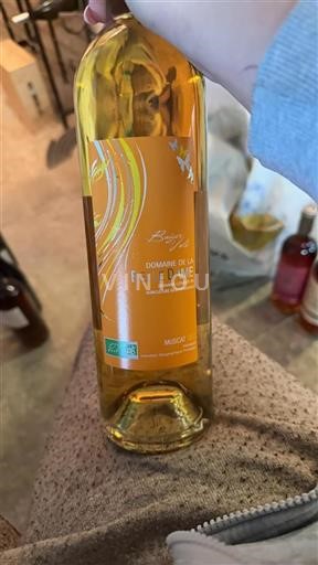 Languedoc-Roussillon Hérault Domaine La Belle Dame Baiser Volé 2022
