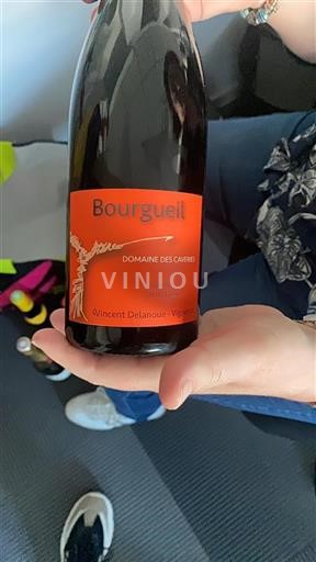 Loiredalen Bourgueil Domaine Des Caveries Icke årgångsbetecknad