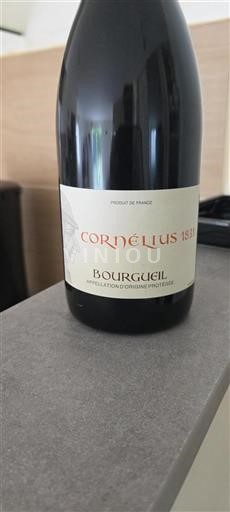 Loiredalen Bourgueil Cornélius 1831 Icke årgångsbetecknad