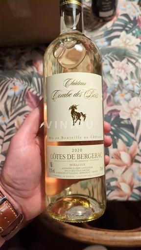 Sudoeste Côtes-de-Bergerac Château Combe Des Bois 2020
