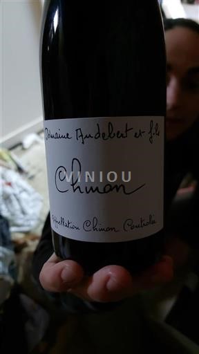 Loire-dalen Chinon Domaine Andebert Et Fils 2023