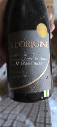 Bourgogne Hautes Côtes de nuits Domaine Patrick Hudelot À l'Origine 2010