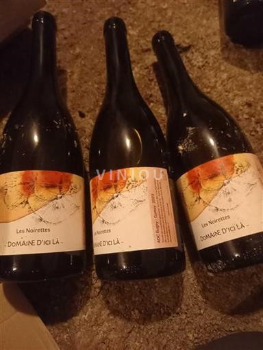 Savoie and Bugey Bugey Domaine Ici Là Les Noirettes 2022