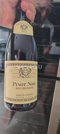 Burgundy Domaine Louis Jadot 2022