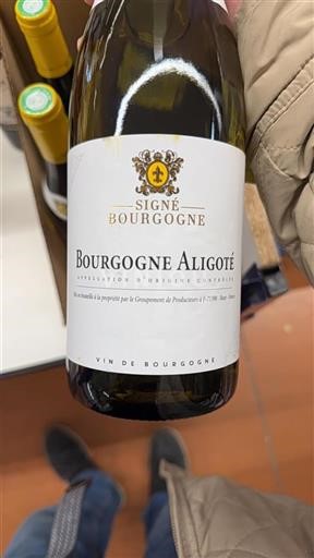 Burgund Bourgogne Aligoté Signé Bourgogne Ohne Jahrgang