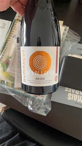 Vallée de la Loire Anjou Dumnacus 2023