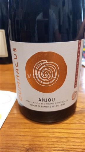 Vallée de la Loire Anjou Dumnacus 2023