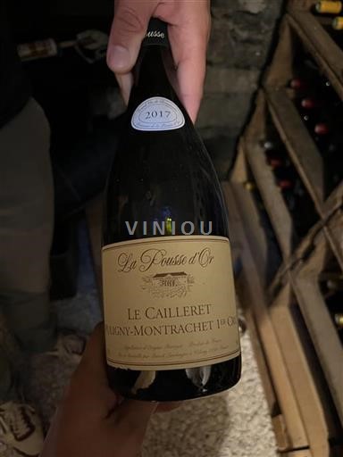 Burgundy Puligny-Montrachet Premier Cru Domaine La Pousse Or Le Cailleret 2017