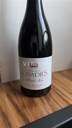 Languedoc No especificado Domaine Cibadies Pinot Noir Sin añada