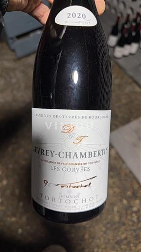 Borgogna Gevrey-Chambertin Domaine Tortochot Les Corvées 2020