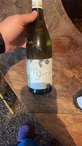 Beaujolais Domaine Des Pampres Les Guérins 2021