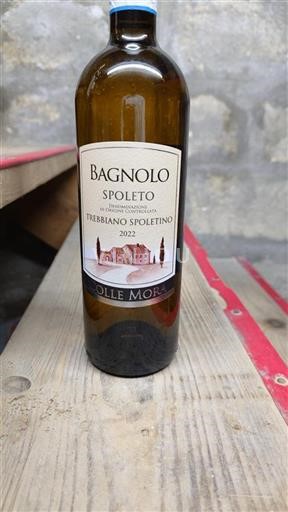 Vin Blanc sec Bagnolo Colle Mora 2022 Italie Ombrie Spoleto DOC