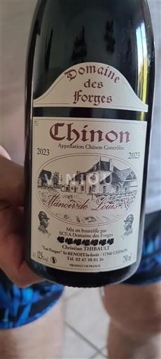 Valle del Loira Chinon Domaine Des Forges Manoir de Louis XI 2023