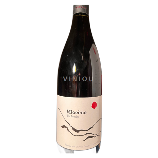 Valle del Rodano Les Accoles Miocène 2017