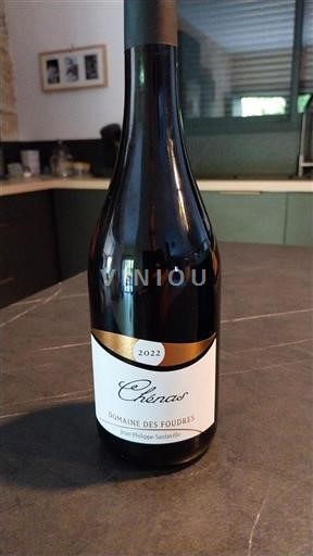 Vin Rouge sec Domaine Des Foudres 2022 France Beaujolais Chénas AOC