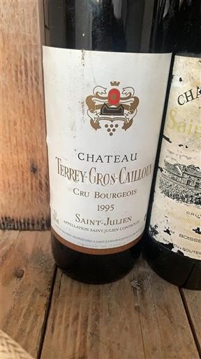 Burdeos Saint-Julien Cru Bourgeois Château Terreygroscailloux 1995