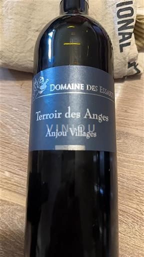 Loiren laakso Anjou Villages Domaine Des Essarts Terroir des Anges 2022
