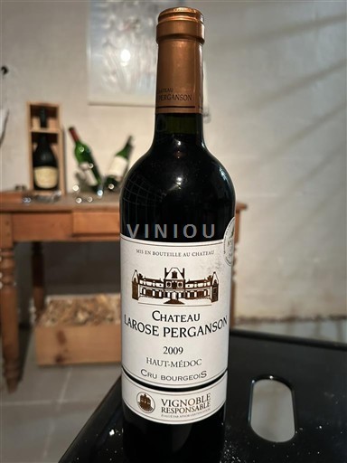 Bordeaux Haut-Médoc Château Larose Perganson 2009