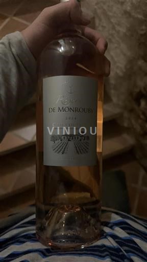 Languedoc und Roussillon Côtes de Thau Monrouby Réserve 2024
