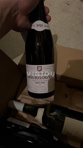 Borgoña Charles Antoine La Richardière 2023