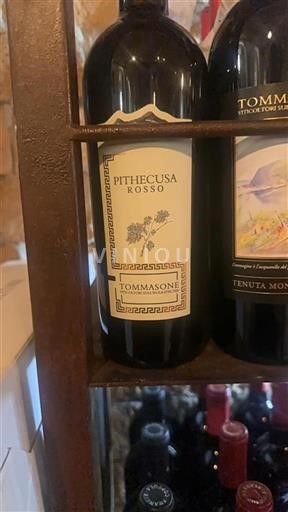 Kampánie Nespecifikováno Tommasone Pithecusa Rosso 2014