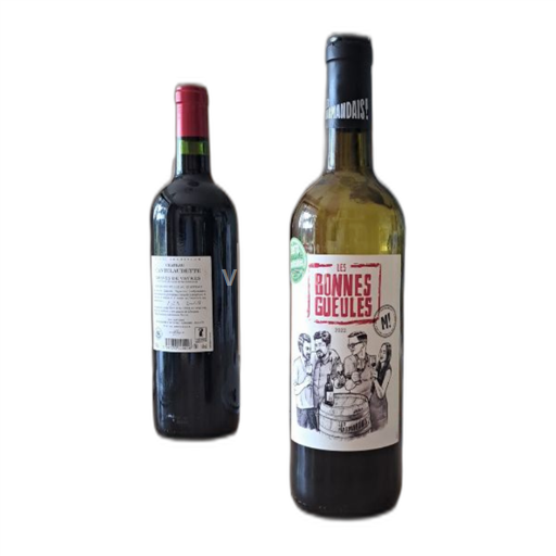 Sudoeste Côtes del Marmandés Les Bonnes Gueules 2022