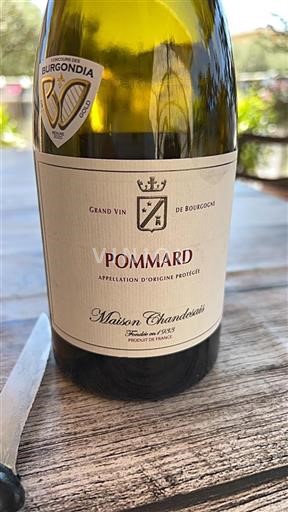 Borgogna Pommard Maison Chanzy Senza annata