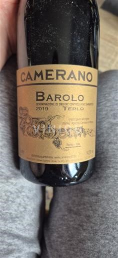 Piedmont Barolo Camerano Terlo 2019