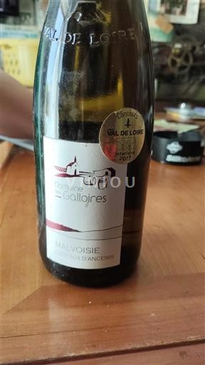 Údolí Loiry Coteaux-d'ancenis Domaine Des Galloires Malvoisie 2017