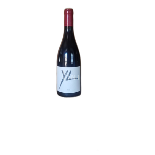 Provence, Lower Rhône Valley, Corsica Île de Beauté Yves Leccia Y L 2023