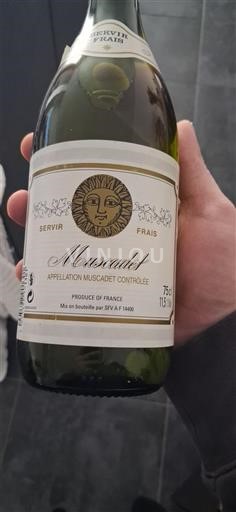 Valle della Loira Muscadet Sfv Senza annata