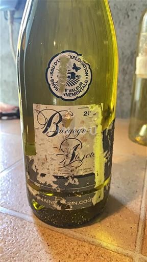 Burgundy Bourgogne Aligoté Domaine Coquard 2021