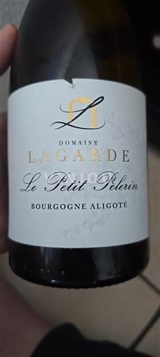 Burgundy Bourgogne Aligoté Lagarde Le Petit Pèlerin Non-Vintage
