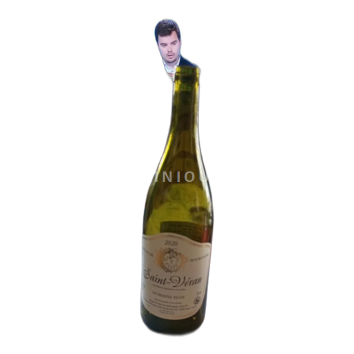 Bourgogne Saint-Véran Domaine Eloy 2020 Icke årgångsbetecknad