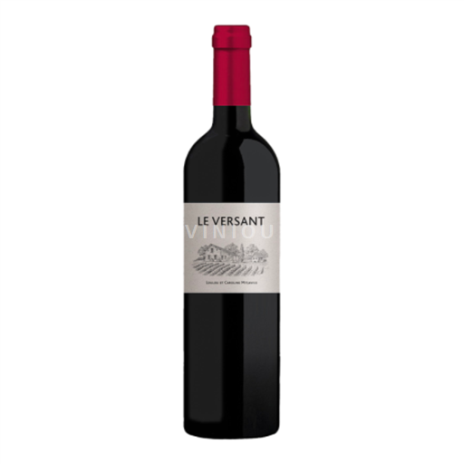Bordeaux Castillon-côtes-de-bordeaux L'aurage Versant 2021
