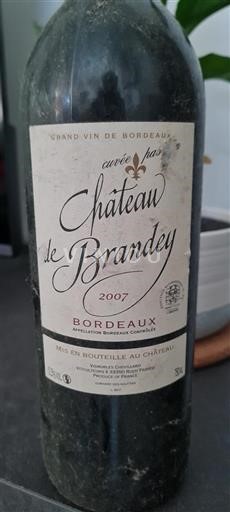 Bordeaux Château Brandey Passion 2007