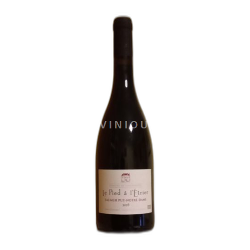 Loirevallei Saumur Puy-Notre-Dame Domaine de l'Enchantoir Le Pied à l'Étrier 2016