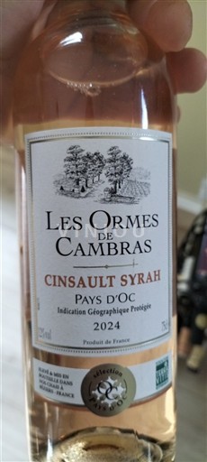 Languedoc-Roussillon Pays d'Oc Les Ormes De Cambra Cinsault Syrah 2024
