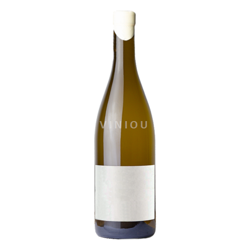 Valle del Loira Saumur La Porte de Saint Jean Le Blanc 2020