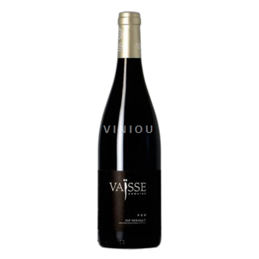Languedoc Terrasses-du-Larzac Domaine Vaïsse Pur 2022