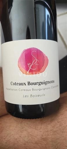 Borgonha Coteaux da Borgonha Les Boiseuils Não Sazonado