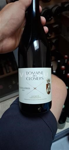Loire-dalen Saumur-Champigny Domaine Des Closiers trezellières 2019