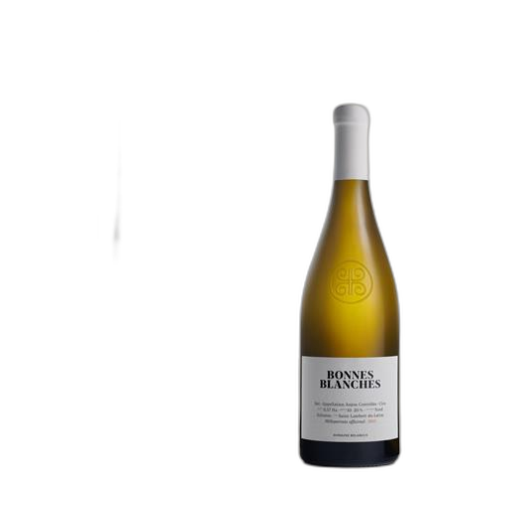 Vin Blanc sec Bonnes blanches Domaine Belargus 2020 France Vallée de la Loire Anjou AOC