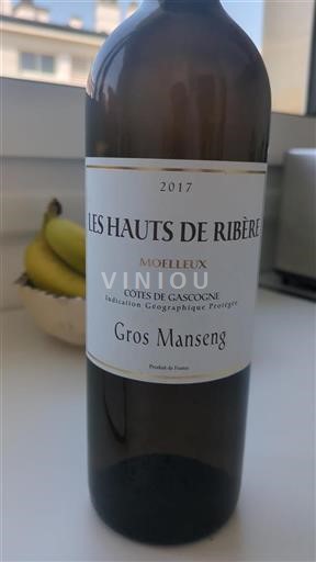 Sudoeste Côtes de Gascogne Les Hauts De Ribère 2017
