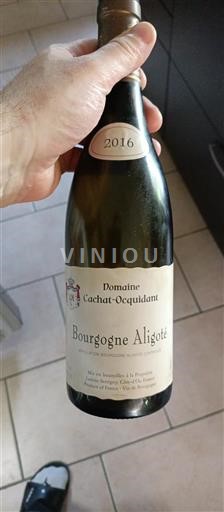 Burgundi Bourgogne Aligoté Cachatocquidant 2016