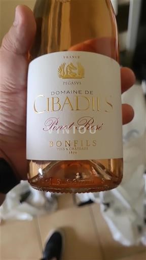 Languedoc No especificado Domaine Cibadies Pinot Rosé 2022