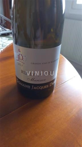 Bourgogne Ikke specificeret Premier Cru Domaine Jacques Dury Marissou 2023