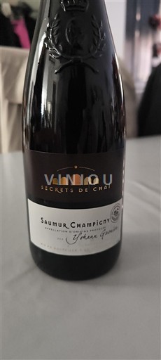 Loire-dalen Saumur-Champigny Secret De Chai 2023