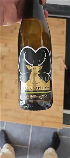 Alsace Wolfberger Black Papillon 2023