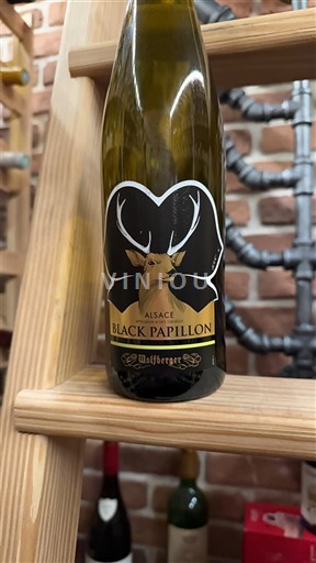 Алзас Аласас Wolfberger Black Papillon 2023